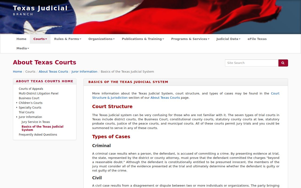Nueces County warrant court structure in Texas